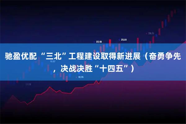 驰盈优配 “三北”工程建设取得新进展(奋勇争先,决战决胜“十四五”)